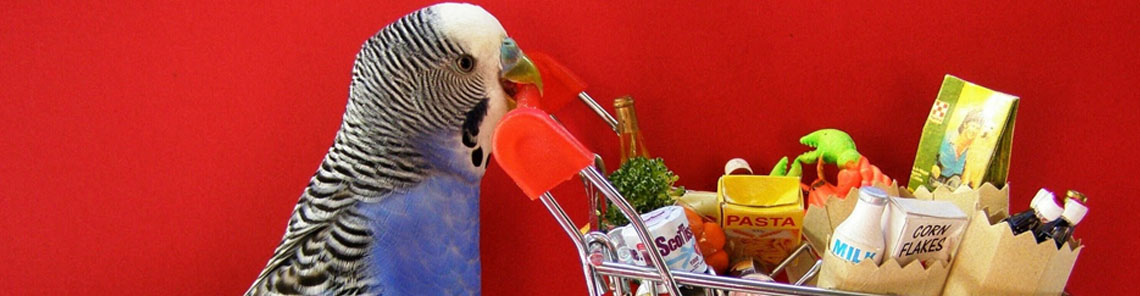 Accesorios para aves