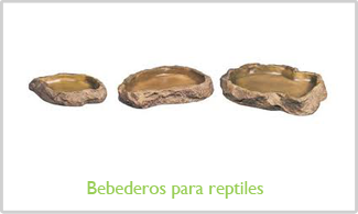Bebederos para reptiles