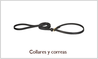 Collares y correas