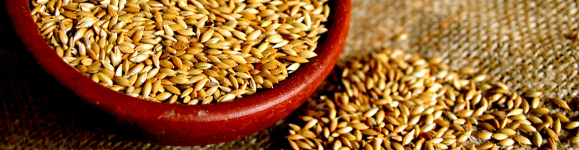 Alimento para aves Casa Luna