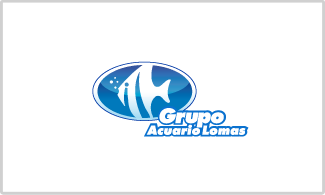 Alimento para peces grupo acuario lomas