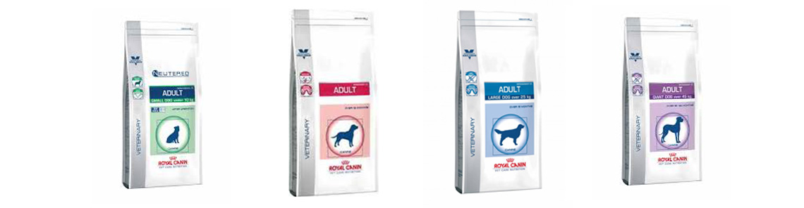 Alimento para perros Royal Canin 