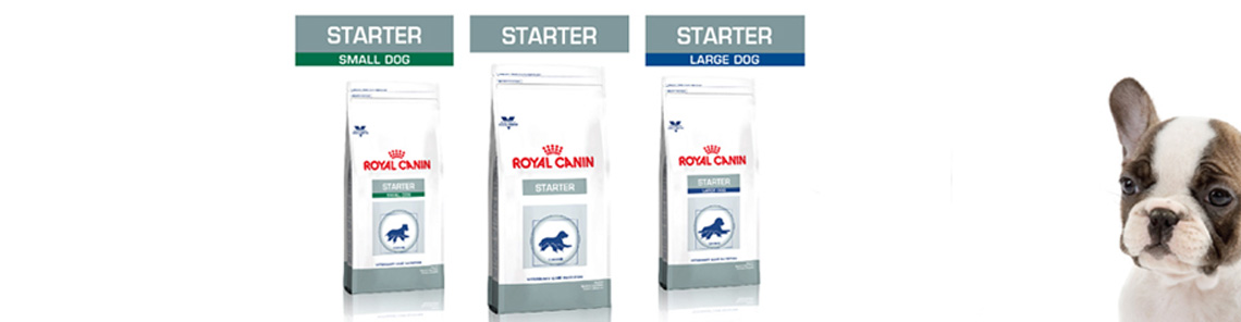 Alimento para perros Royal Canin 