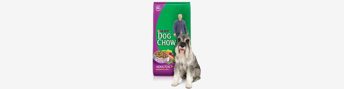 Alimento para perros Purina Dog chow 