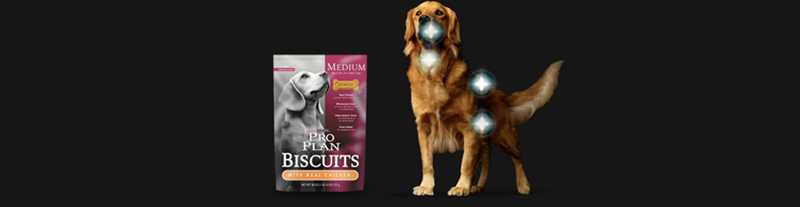  Galletas para perros Purina Pro plan 