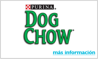 Alimento para perros purina dog chow