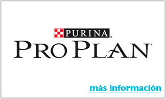 Alimento para perros purina pro plan