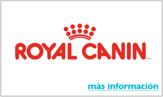 Alimento para perros royal canin