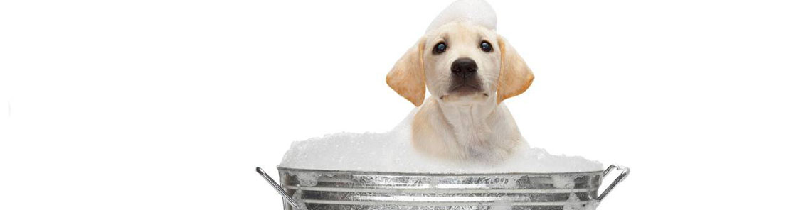 Estética a domicilio