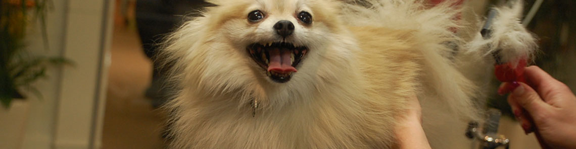 Estética en instalaciones